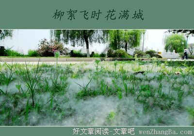 柳絮飞的名言_关于柳絮飞的名言