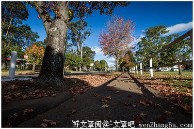 最新的《步步惊心》经典句子