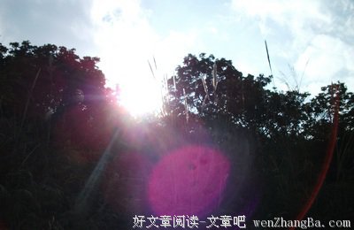 过日子的句子