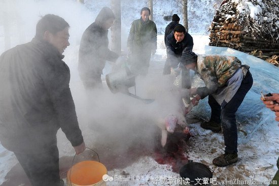 顺其自然地活，热气腾腾地活