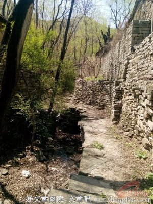 去后方：过黄河、躲土匪 | 正午