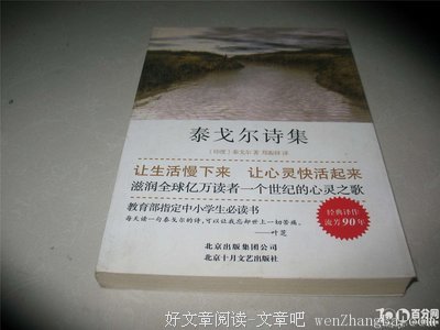 无声无光集读后感10篇
