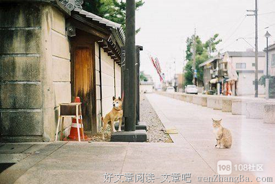 “你没钱没权，干嘛学别人生孩子！”
