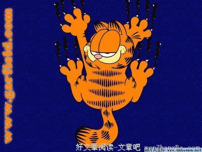 关于加菲猫名言名句