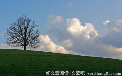 言简意赅的语句摘抄_关于言简意赅的语句
