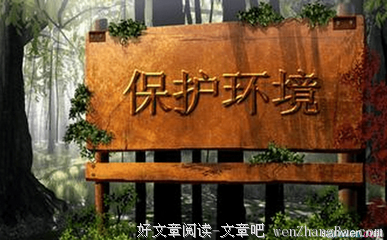 关于大保的格言