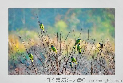 关于晓镜的格言