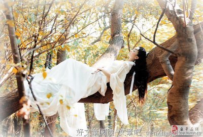 为什么同样是不食人间烟火，小龙女却比王语嫣更加讨人喜欢