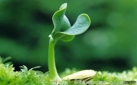 《活着再见》读后感10篇