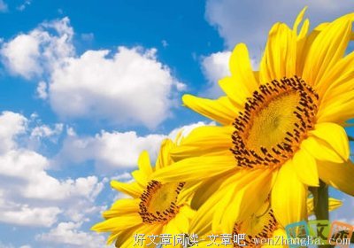 关于抑郁名言名句