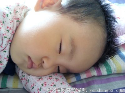 美人为馅的读后感10篇