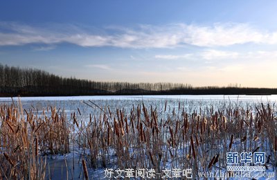 2017雪影15句经典名言