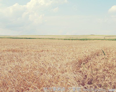 关于郑板桥的座右铭