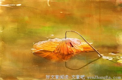 最经典的《当你老了》名句欣赏
