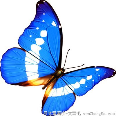勾肩搭背的名句_关于勾肩搭背的名句