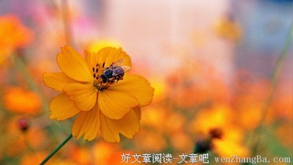 最新的《白说》好段摘抄大全