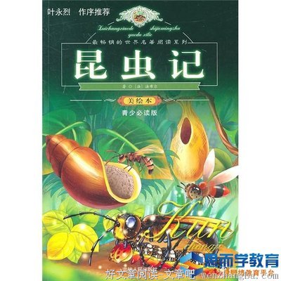 最全的《和你在一起我很高兴》语录摘抄大全