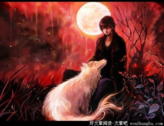 最新的《狼图腾》小说句子大全