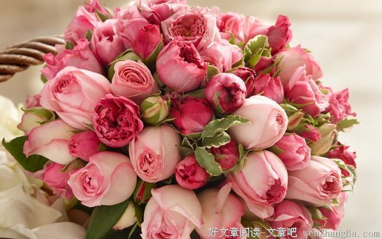 《思无邪》经典的句子
