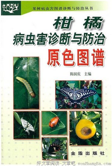 《麒麟正传》经典的句子