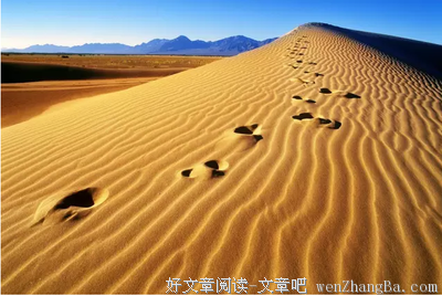 ▷人生没有白走的路，每一步都算数