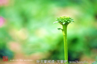 《残菊物语》观后感精选10篇