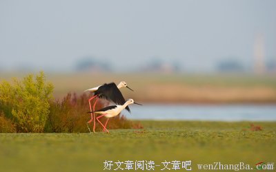 情到深处自然啪