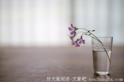 关于不复存在的名言