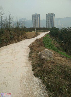 借船过河：一个据说能看穿你的人性和欲望的心理测试