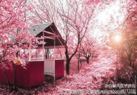 关于天下为公的唯美语录