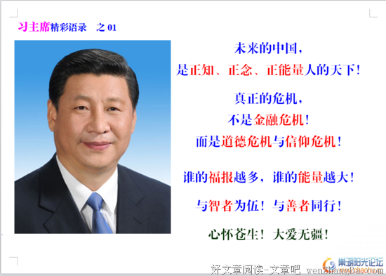 杨志锋精彩语录