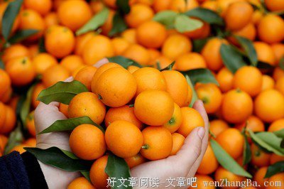 你不是恐婚，你只是对人生过敏