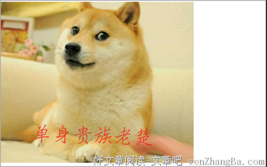 关于布鲁斯的名言
