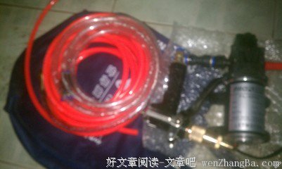 苏武的句子