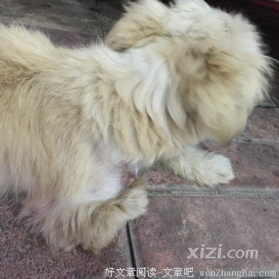 你不是不爱钱，你是不爱生命！