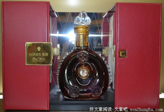 《路易的第九条命》读后感10篇