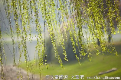 春风化雨的句子
