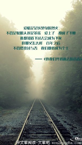 最新的《致我们终将逝去的青春》小说句子