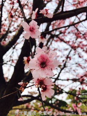 26岁离开都市去旅行，28岁回归田园织布烧陶，简朴的生活到底有多