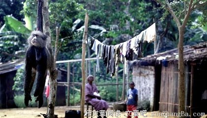 这是我见过最残忍的行为！