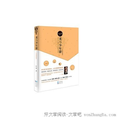 龙与少年游读后感精选10篇