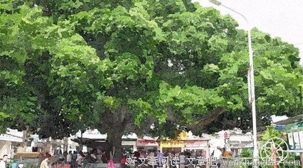 描写柔和的经典句子