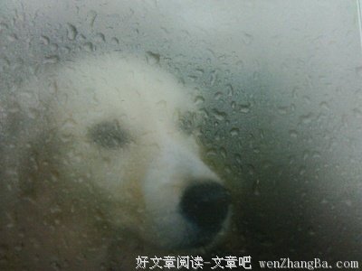余光中名言大全