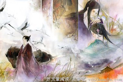 桐华名言大全