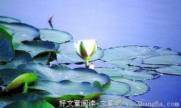 描写以清的经典句子
