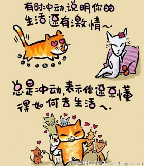 最全的微博经典语录