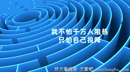 关于安子的格言