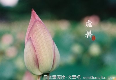 关于风言风语的语句