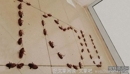 最经典的《让我留在你身边》经典的句子