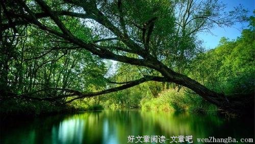 谁说厚积薄发才能成功？